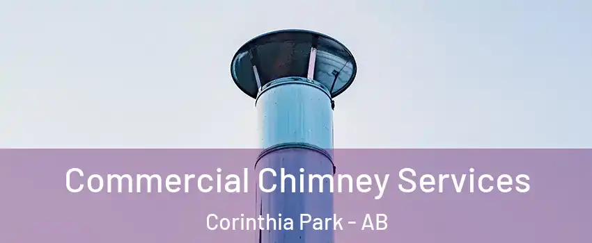  Commercial Chimney Services Corinthia Park - AB