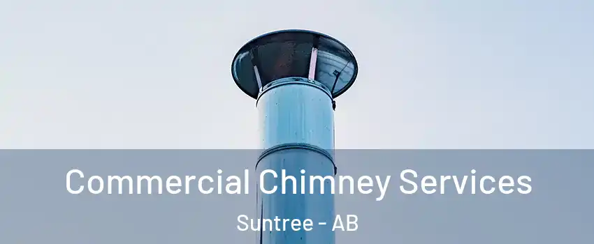  Commercial Chimney Services Suntree - AB