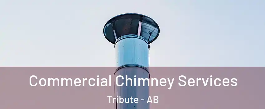  Commercial Chimney Services Tribute - AB