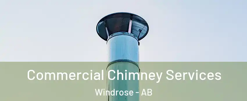  Commercial Chimney Services Windrose - AB