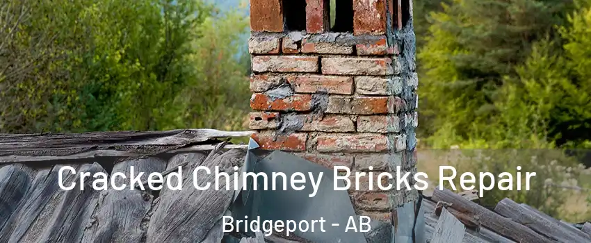  Cracked Chimney Bricks Repair Bridgeport - AB