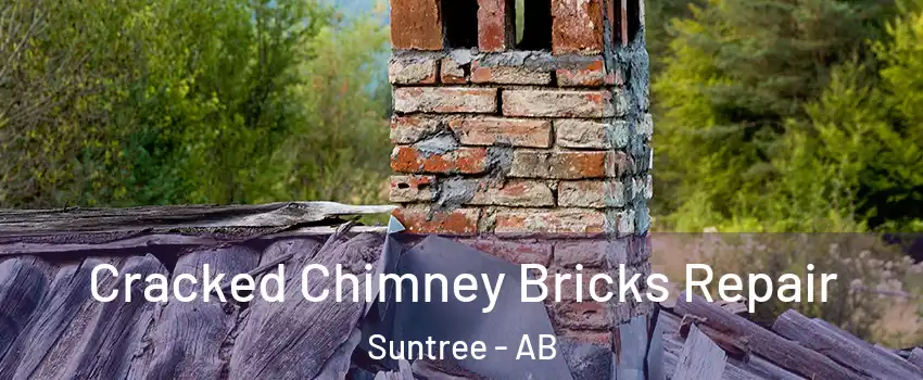  Cracked Chimney Bricks Repair Suntree - AB