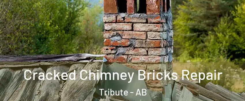  Cracked Chimney Bricks Repair Tribute - AB