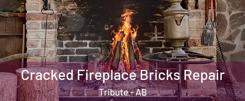  Cracked Fireplace Bricks Repair Tribute - AB