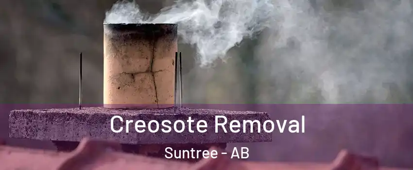  Creosote Removal Suntree - AB