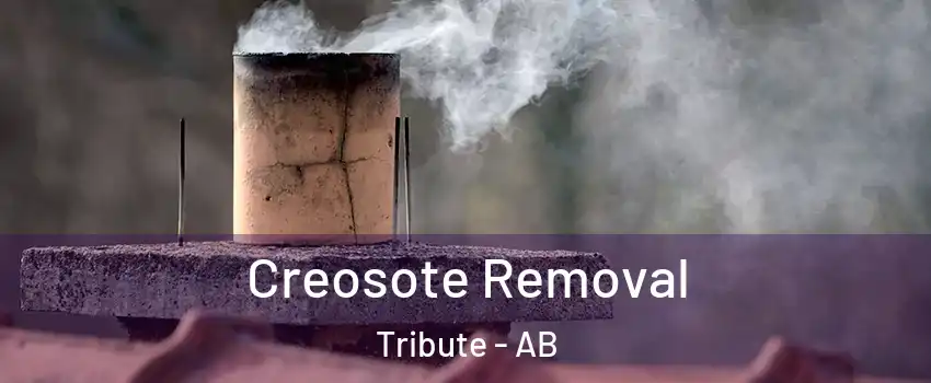  Creosote Removal Tribute - AB