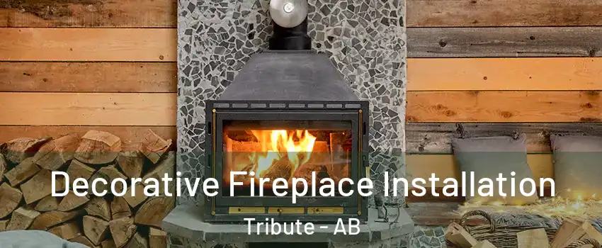  Decorative Fireplace Installation Tribute - AB
