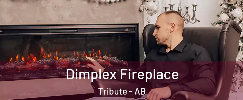  Dimplex Fireplace Tribute - AB