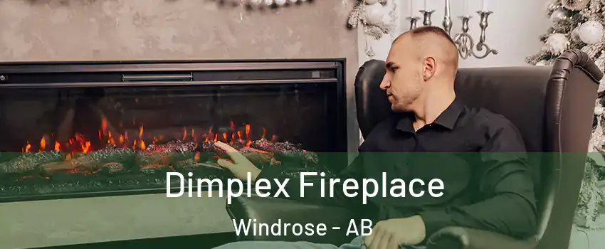  Dimplex Fireplace Windrose - AB