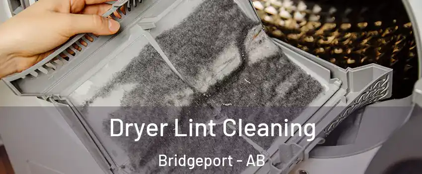  Dryer Lint Cleaning Bridgeport - AB