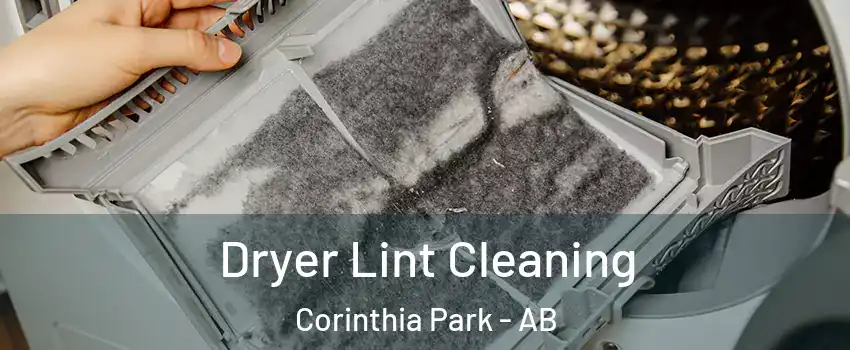  Dryer Lint Cleaning Corinthia Park - AB