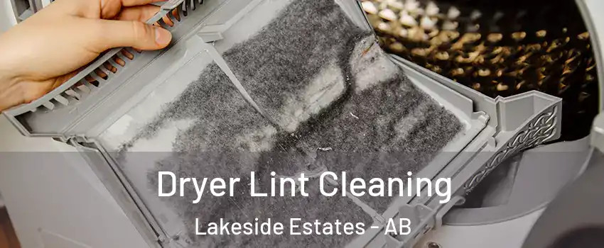  Dryer Lint Cleaning Lakeside Estates - AB