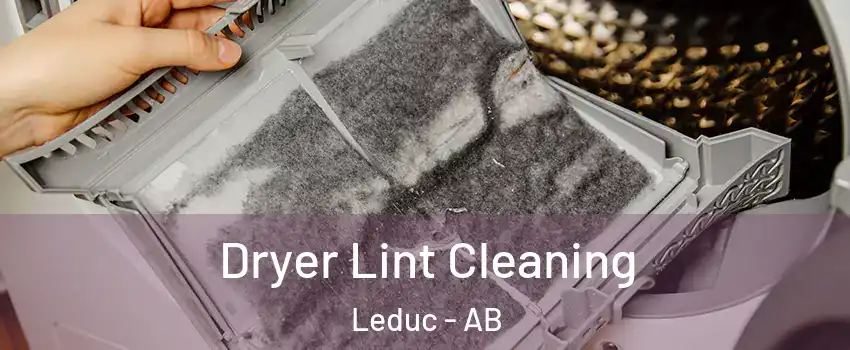  Dryer Lint Cleaning Leduc - AB