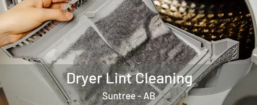  Dryer Lint Cleaning Suntree - AB