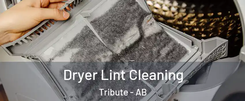  Dryer Lint Cleaning Tribute - AB
