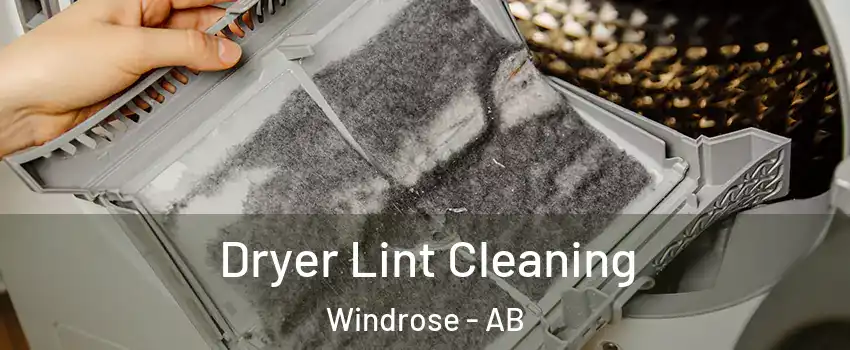  Dryer Lint Cleaning Windrose - AB