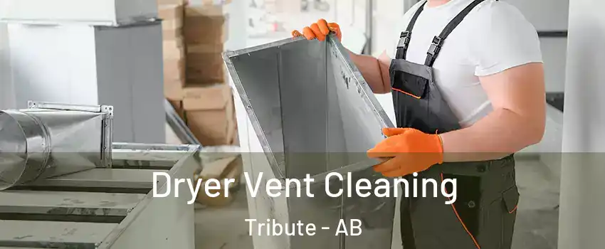  Dryer Vent Cleaning Tribute - AB