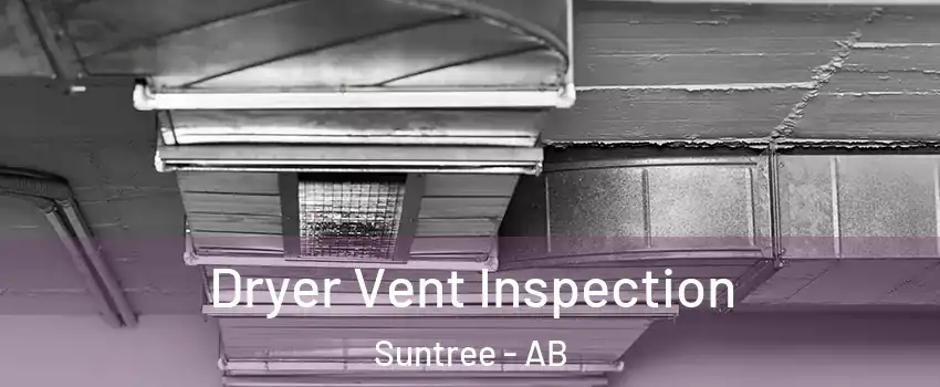  Dryer Vent Inspection Suntree - AB