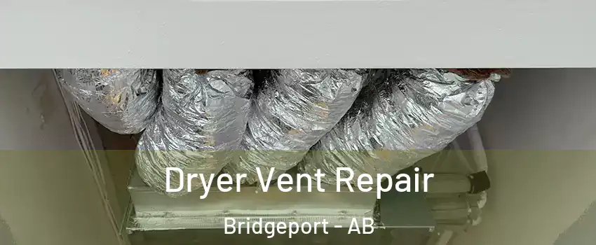  Dryer Vent Repair Bridgeport - AB