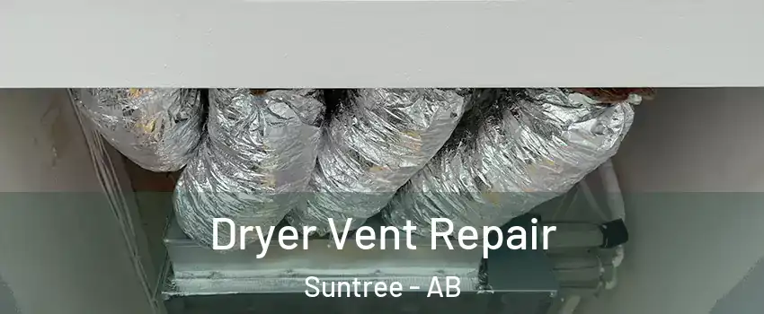  Dryer Vent Repair Suntree - AB