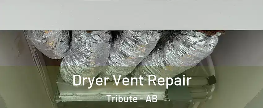  Dryer Vent Repair Tribute - AB