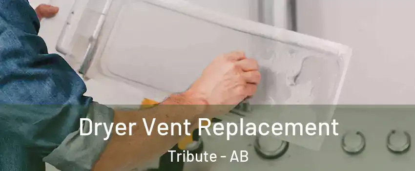  Dryer Vent Replacement Tribute - AB