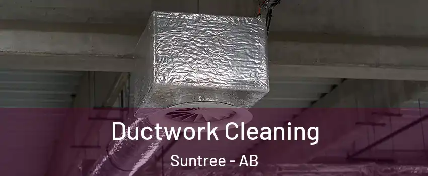  Ductwork Cleaning Suntree - AB