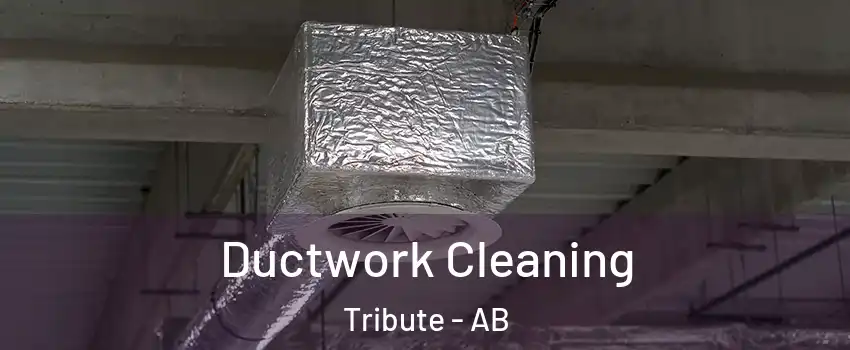  Ductwork Cleaning Tribute - AB