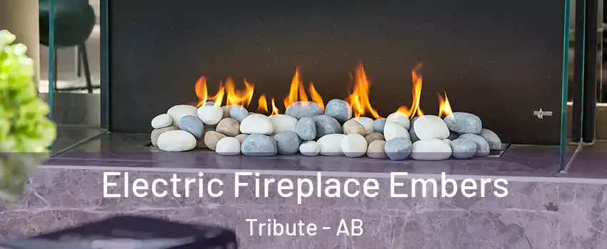  Electric Fireplace Embers Tribute - AB