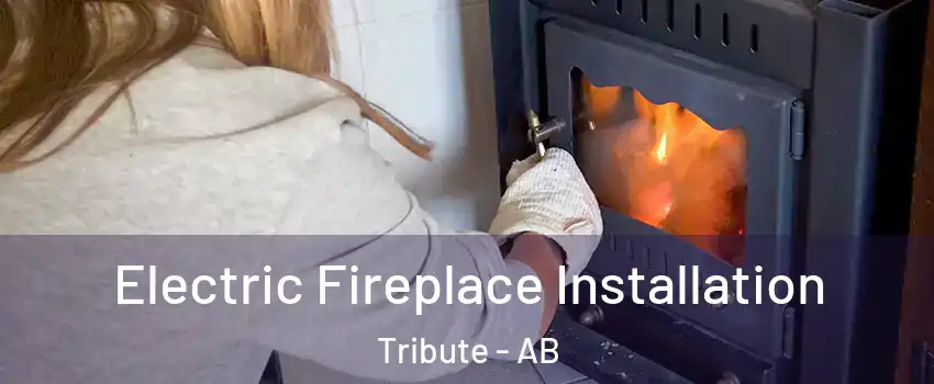  Electric Fireplace Installation Tribute - AB