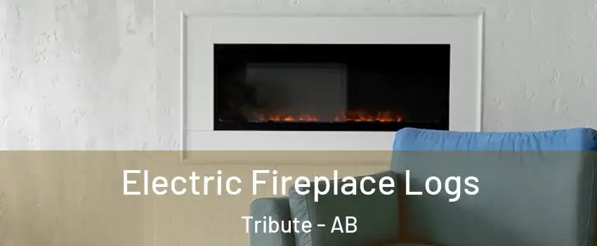  Electric Fireplace Logs Tribute - AB
