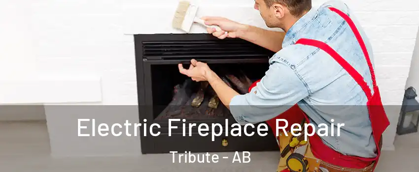  Electric Fireplace Repair Tribute - AB