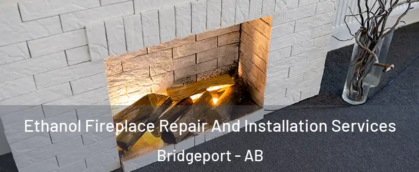  Ethanol Fireplace Repair And Installation Services Bridgeport - AB