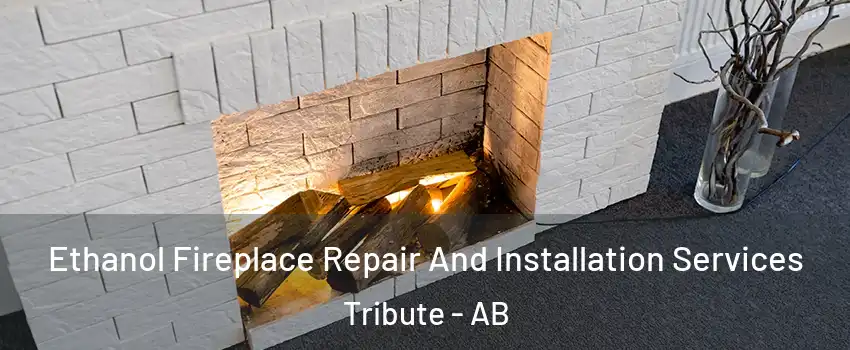 Ethanol Fireplace Repair And Installation Services Tribute - AB