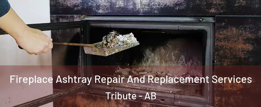  Fireplace Ashtray Repair And Replacement Services Tribute - AB