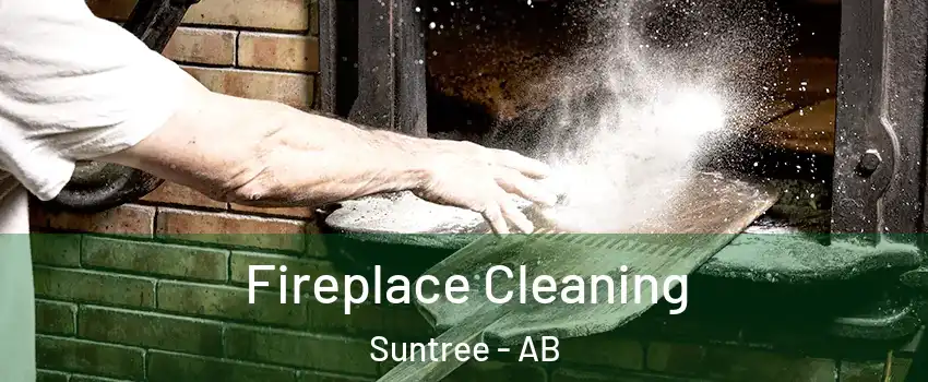 Fireplace Cleaning Suntree - AB