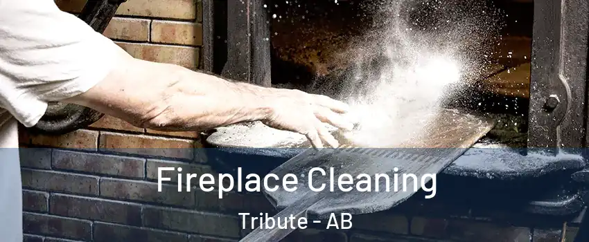  Fireplace Cleaning Tribute - AB