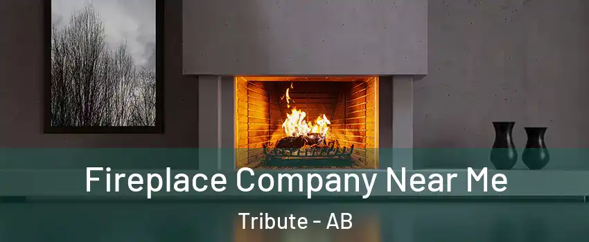  Fireplace Company Near Me Tribute - AB