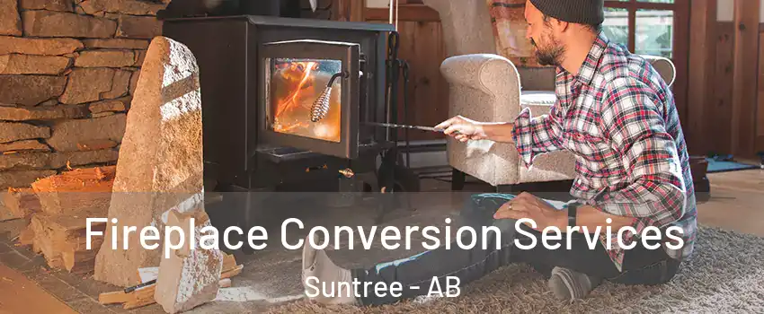  Fireplace Conversion Services Suntree - AB
