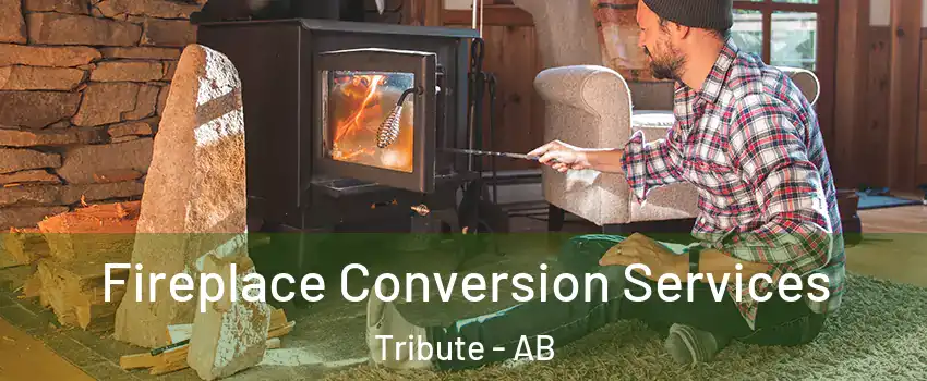  Fireplace Conversion Services Tribute - AB