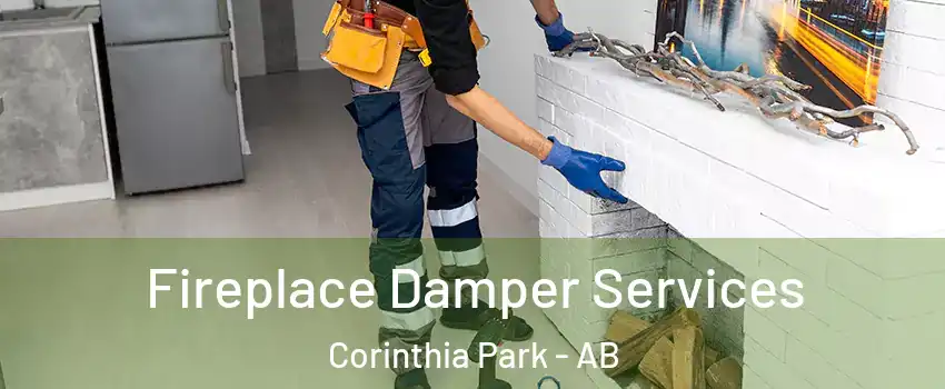  Fireplace Damper Services Corinthia Park - AB