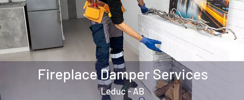  Fireplace Damper Services Leduc - AB