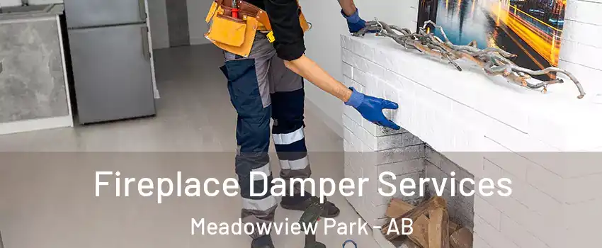  Fireplace Damper Services Meadowview Park - AB