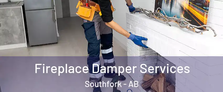  Fireplace Damper Services Southfork - AB
