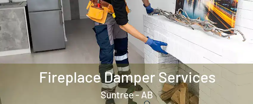  Fireplace Damper Services Suntree - AB