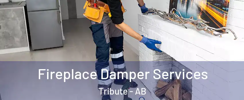  Fireplace Damper Services Tribute - AB