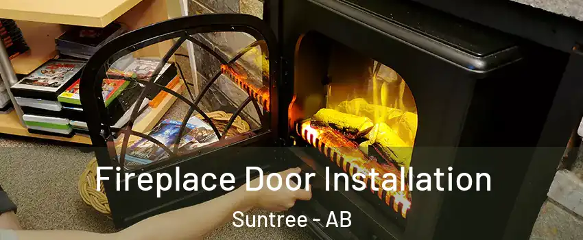  Fireplace Door Installation Suntree - AB