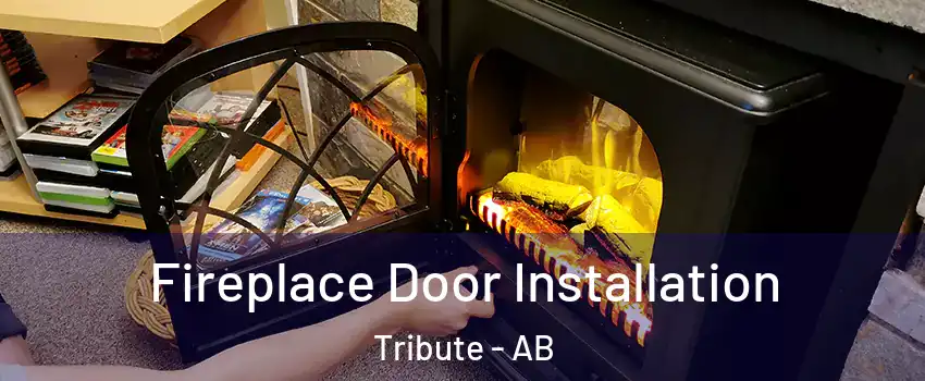  Fireplace Door Installation Tribute - AB