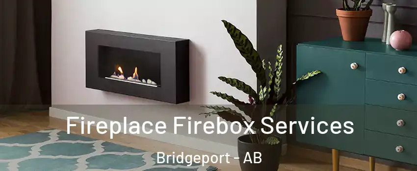  Fireplace Firebox Services Bridgeport - AB