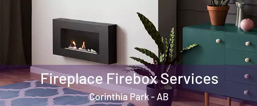  Fireplace Firebox Services Corinthia Park - AB